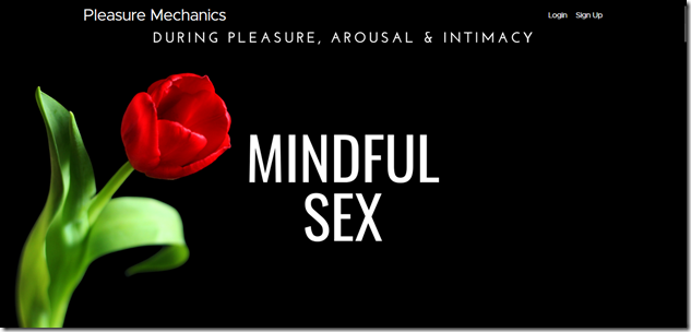 Plesure Mechanics - Mindful Sex