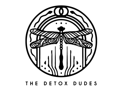 The Detox Dudes Mastery 2.0