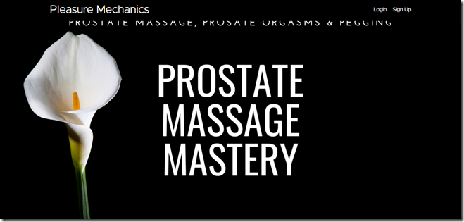 Pleasure Mechanics - Prostate Massage Mastery