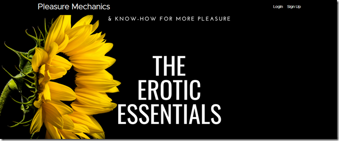 Pleasure Mechanics - The Erotic Essentials