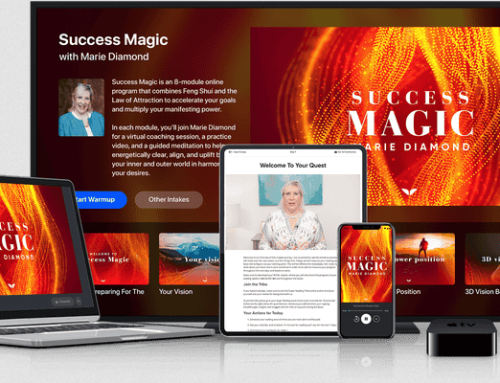 MindValley – Success Magic